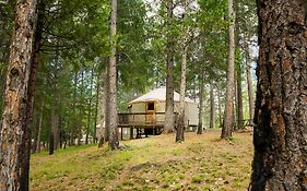 Yosemite Lakes Hillside Yurt 5